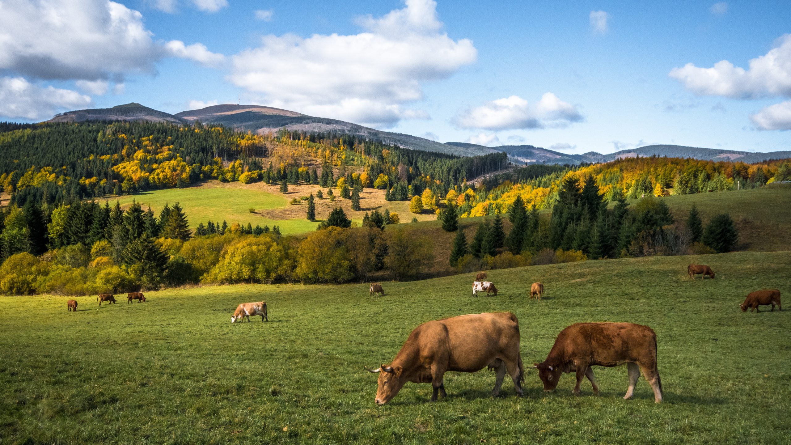 Žilinský kraj – rady, tipy a itinerár