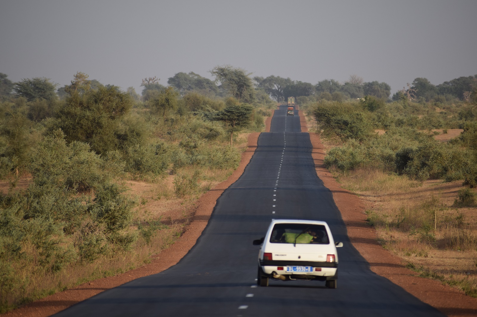 Senegal – čierny lev Afriky